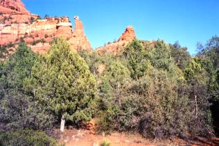 Boynton Canyon