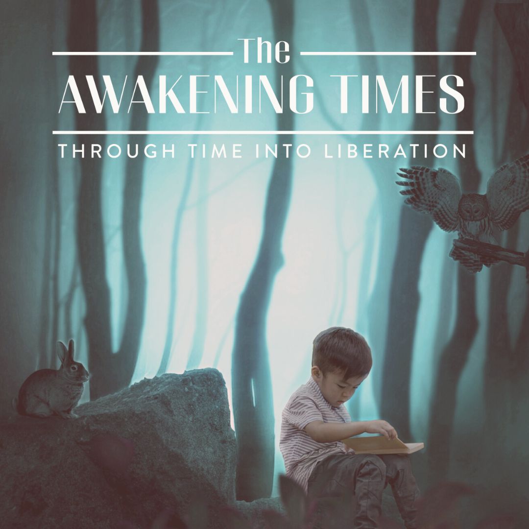 Boy reading a book in a forest