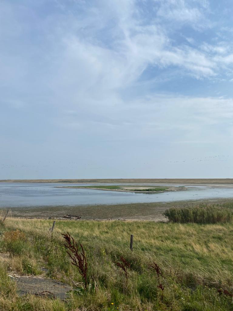 Nature of Zeeland national park